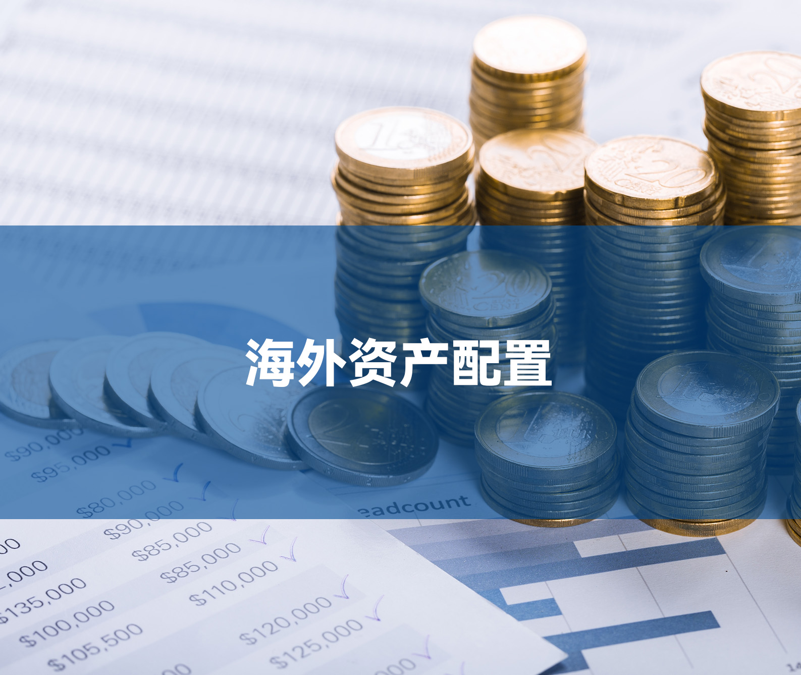 海外资产配置- 天程美达集团